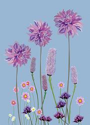 Carte dahlia bleu
