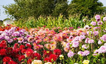 tuintips 30-09-'22