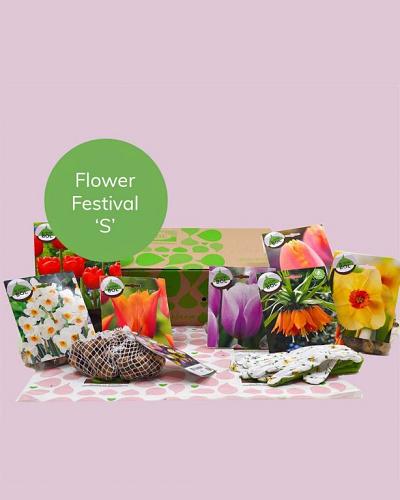 Flower Festival