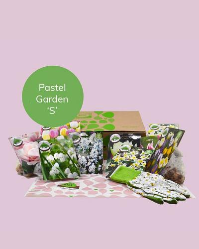 Pastel Garden