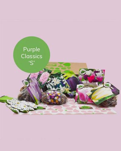 Purple Classics
