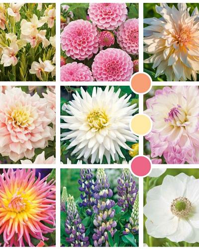 Pastel Classics