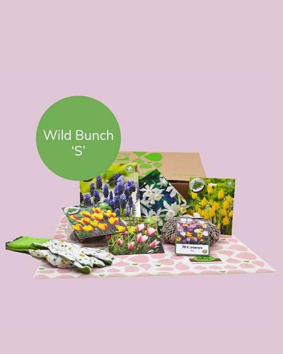 Wild Bunch