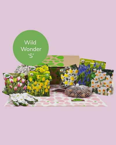 Wild Wonder