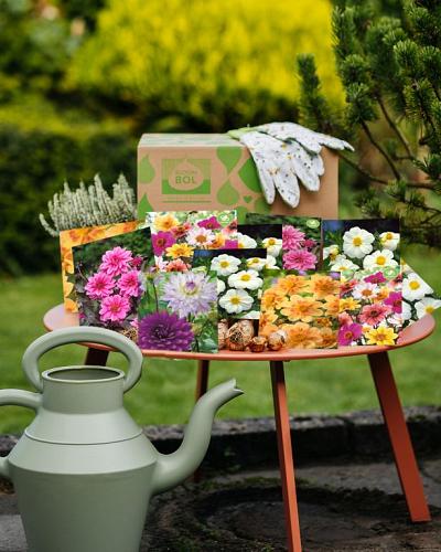 Lofty Blossoms