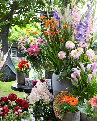 Flower Fiesta