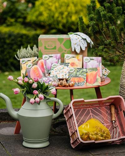 Floral Spring
