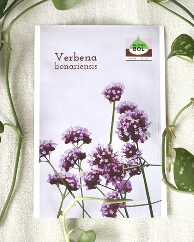 Verbena seeds