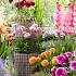 Summer Breeze pakket S