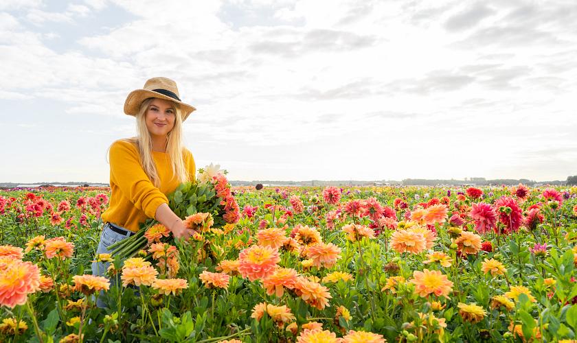 Bloombol